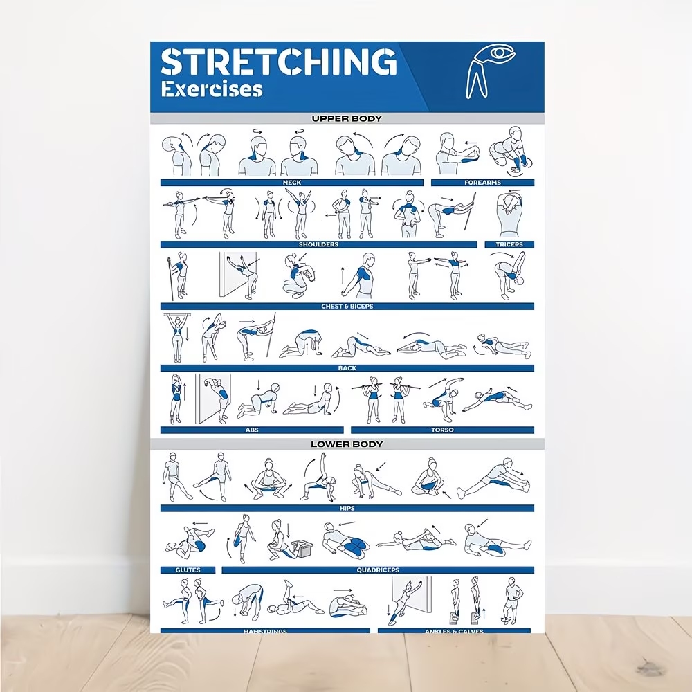 Modern Labeled Full-Body Stret - Sustainable Living Products review and price