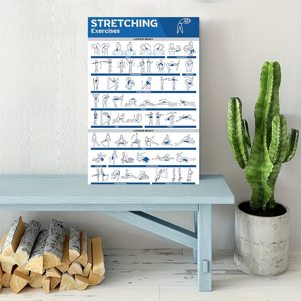 Modern Labeled Full-Body Stret - Sustainable Living Products review and price