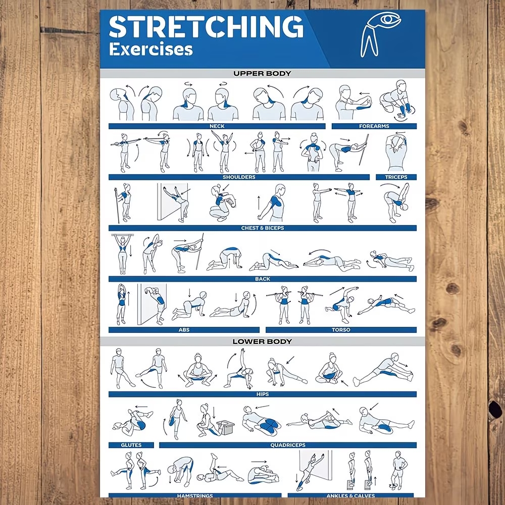 Modern Labeled Full-Body Stret - Sustainable Living Products review and price