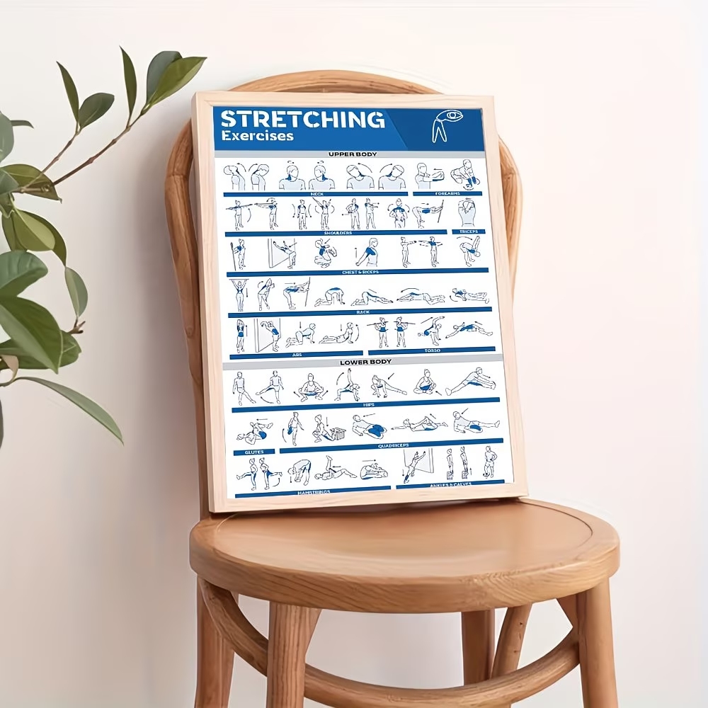 Modern Labeled Full-Body Stret - Sustainable Living Products review and price